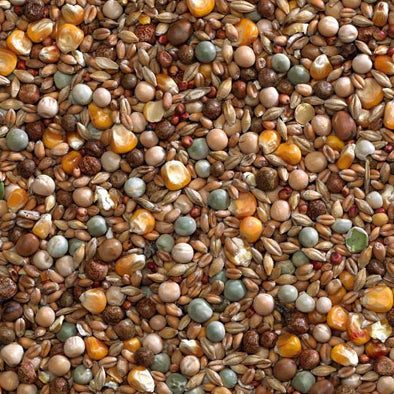 Bucktons Winter Economy Mix 20kg - Free P&P