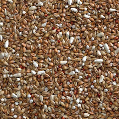 Bucktons Depurative Mix 20kg - Free P&P