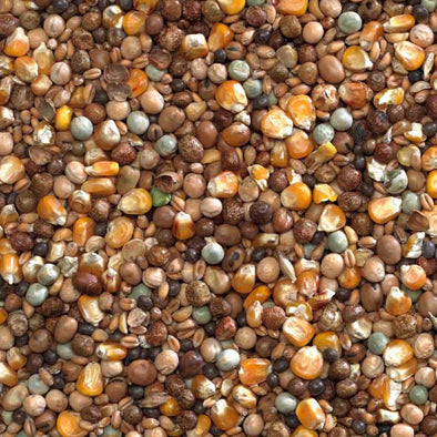 Bucktons High Protein Economy 20kg - Free P&P