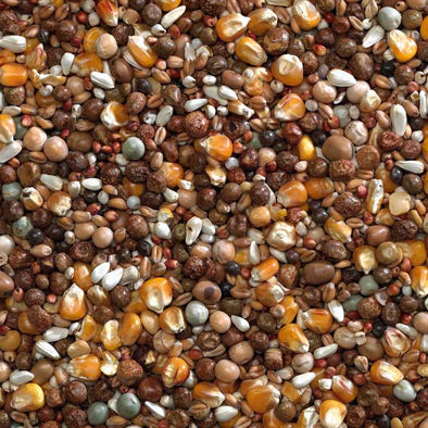 Bucktons Pigeon Breeding Mix 20kg - Free P&P