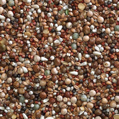 Bucktons Young Bird Mix 20kg - Free P&P