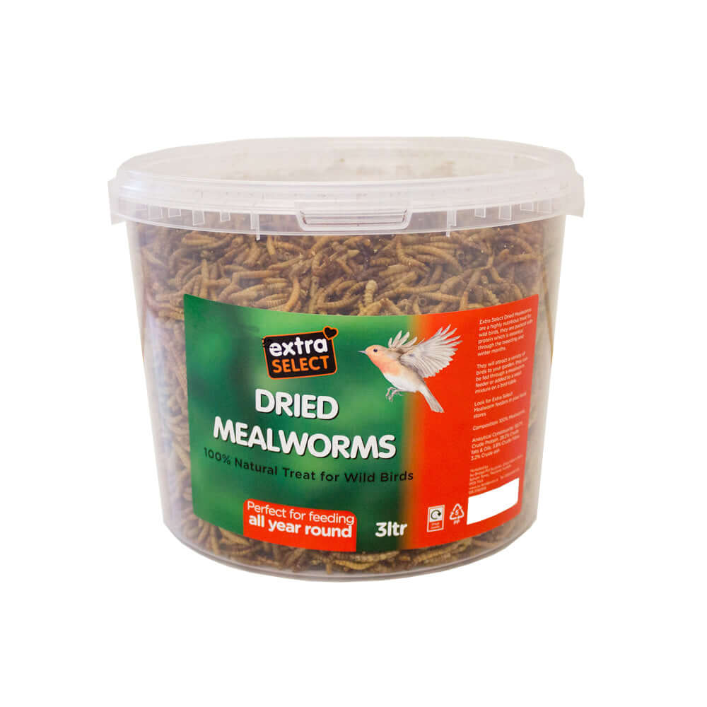 Extra Select Dried Mealworms Wild Bird Feed Treat