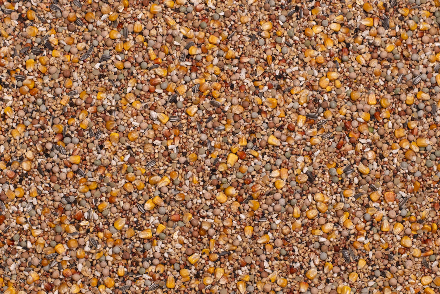 Beyers Basic Breeding and Racing 20kg - Free Delivery