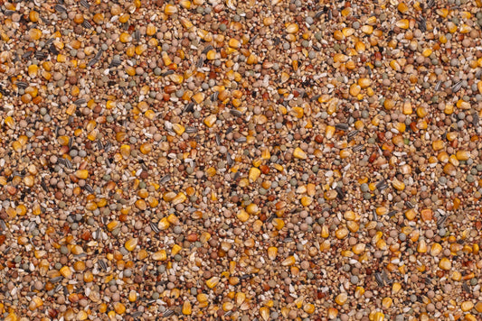 Beyers Basic Breeding and Racing 20kg - Free Delivery