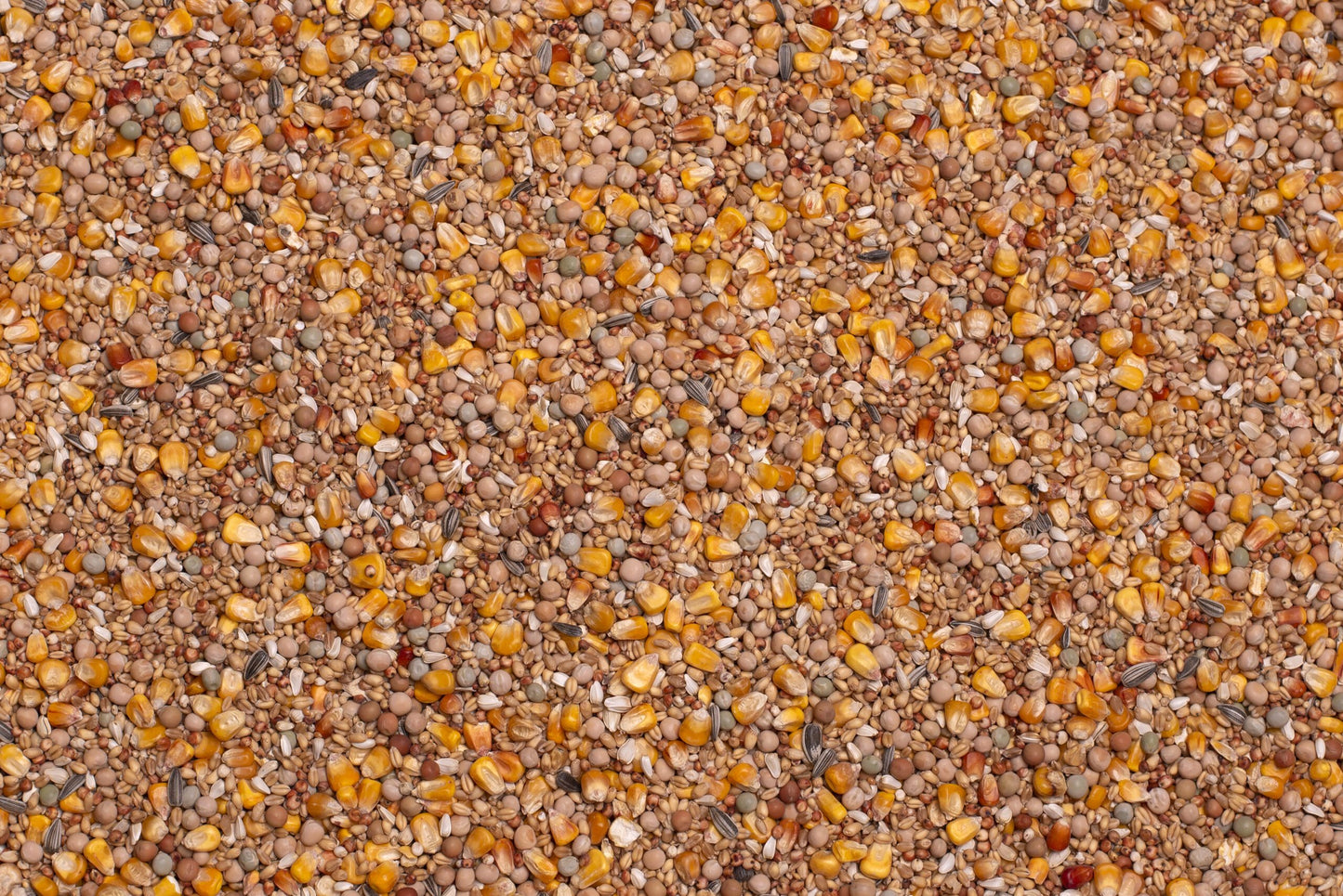 Beyers Basic Allround 20kg - Free Delivery
