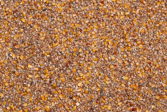 Beyers Basic Allround 20kg - Free Delivery