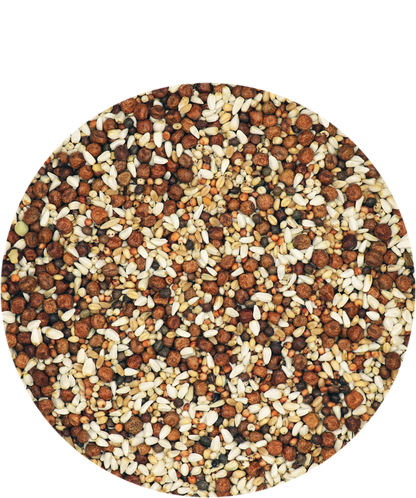Versele-Laga Premium Junior UK Breed & Wean 20kg - Free P&P