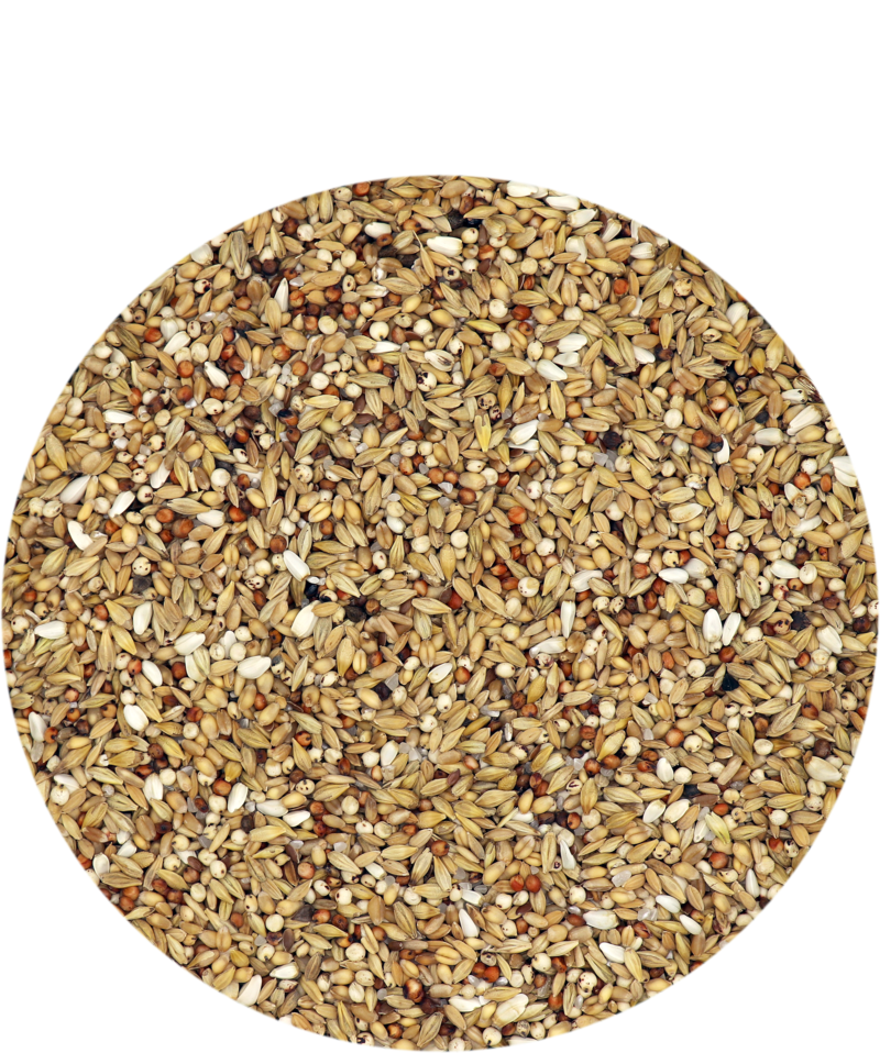 Versele-Laga Traditional Depurative 25kg - Free P&P