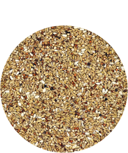 Versele-Laga Traditional Depurative 25kg - Free P&P