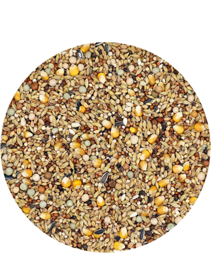 Versele-Laga Mariman Standard Moulting 25kg - Free P&P