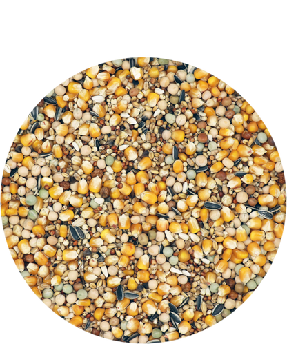 Versele-Laga Mariman Standard Breeding & Racing without Barley 25kg - Free P&P