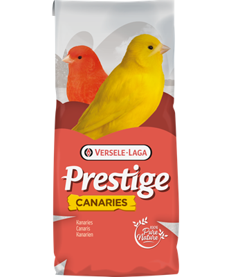 Versele-Laga Canaries Breeding Without Rapeseed 20kg