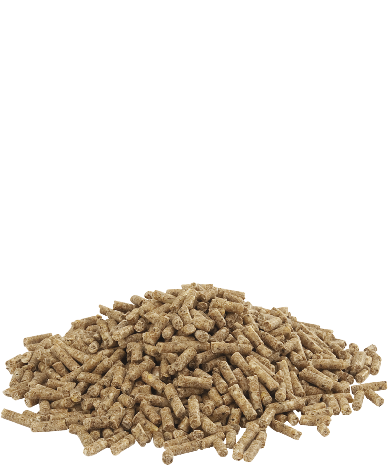Versele-Laga Country's Best Duck 2 Pellet  20kg - Free P&P