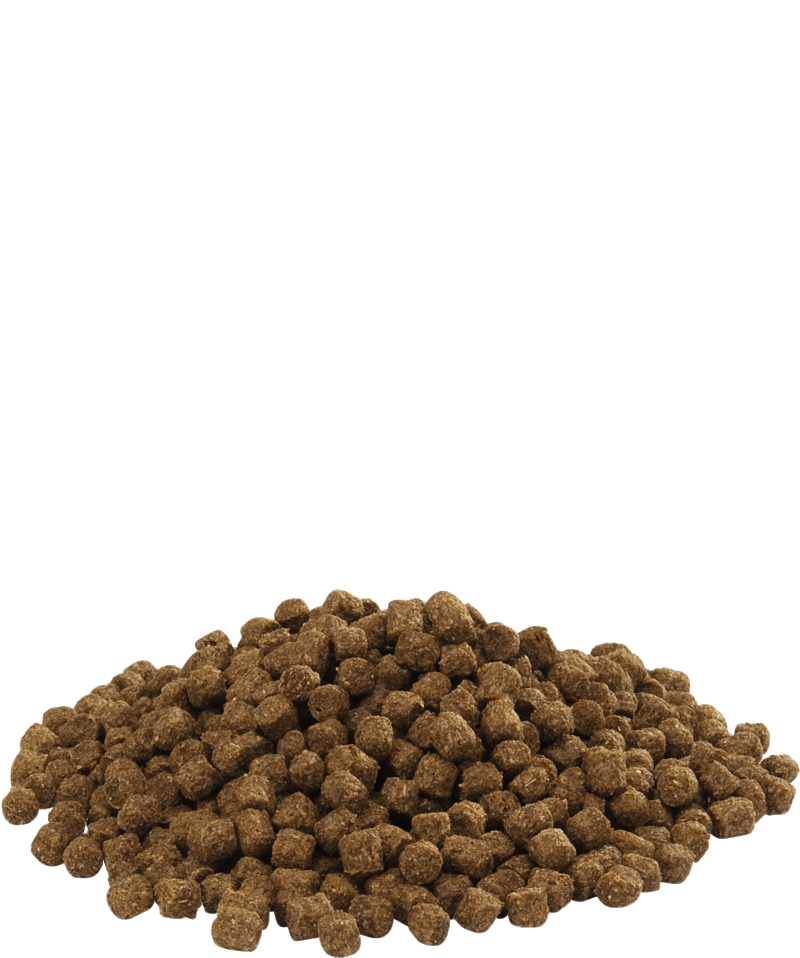 Versele-Laga Floating Sea Duck Pellets 4mm 15kg - Free P&P