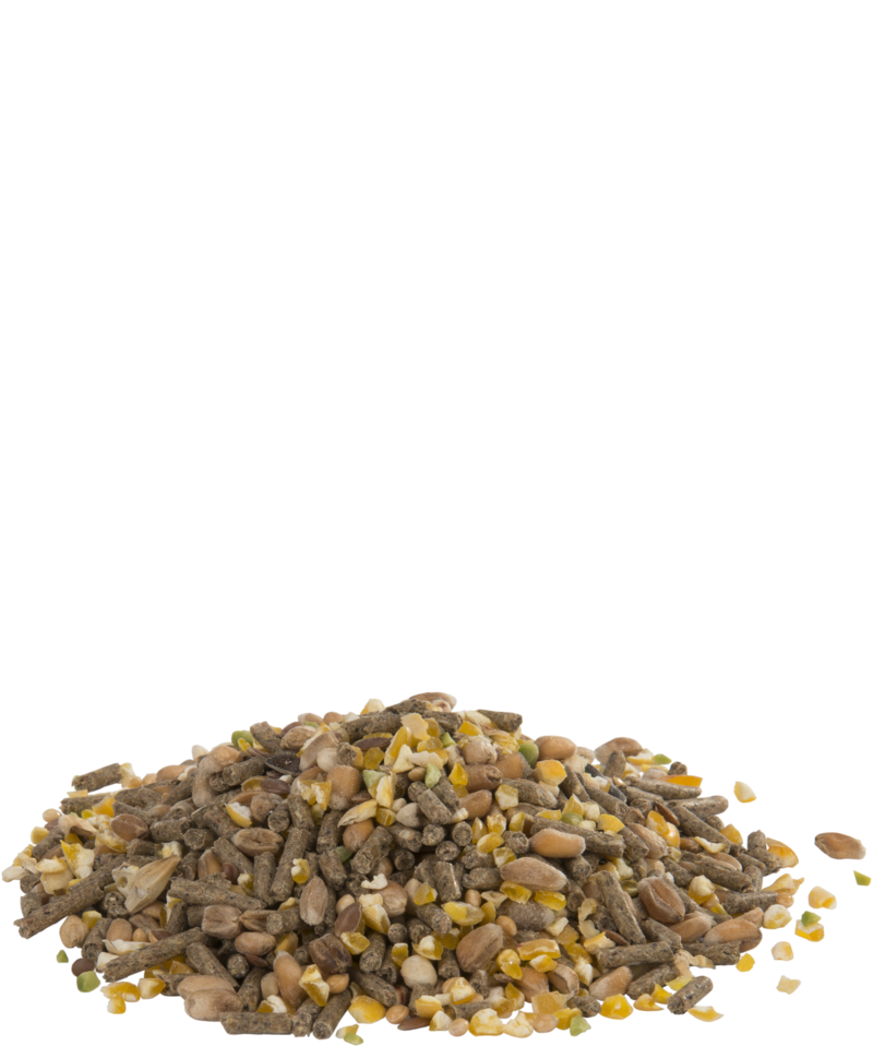 Versele-Laga Countrys Best Mini Gold 4 Mix 20kg - Free P&P