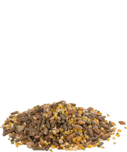Versele-Laga Countrys Best Mini Gold 4 Mix 20kg - Free P&P