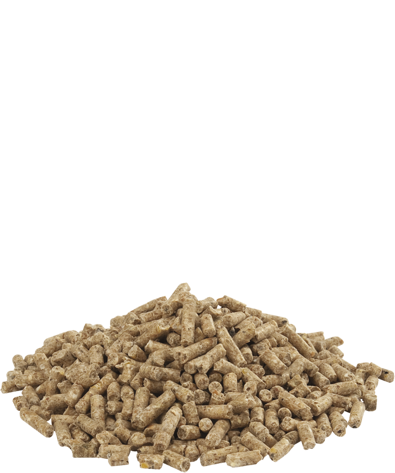 Versele-Laga Countrys Best Gold 4 Gallico Pellets 20kg - Free P&P