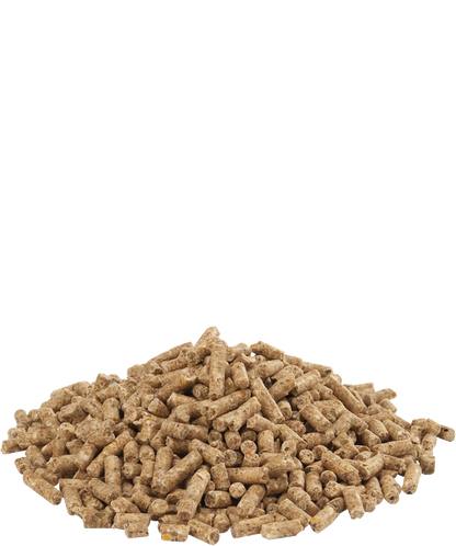 Versele-Laga Countrys Best Gold 4 Gallico Pellets 20kg - Free P&P