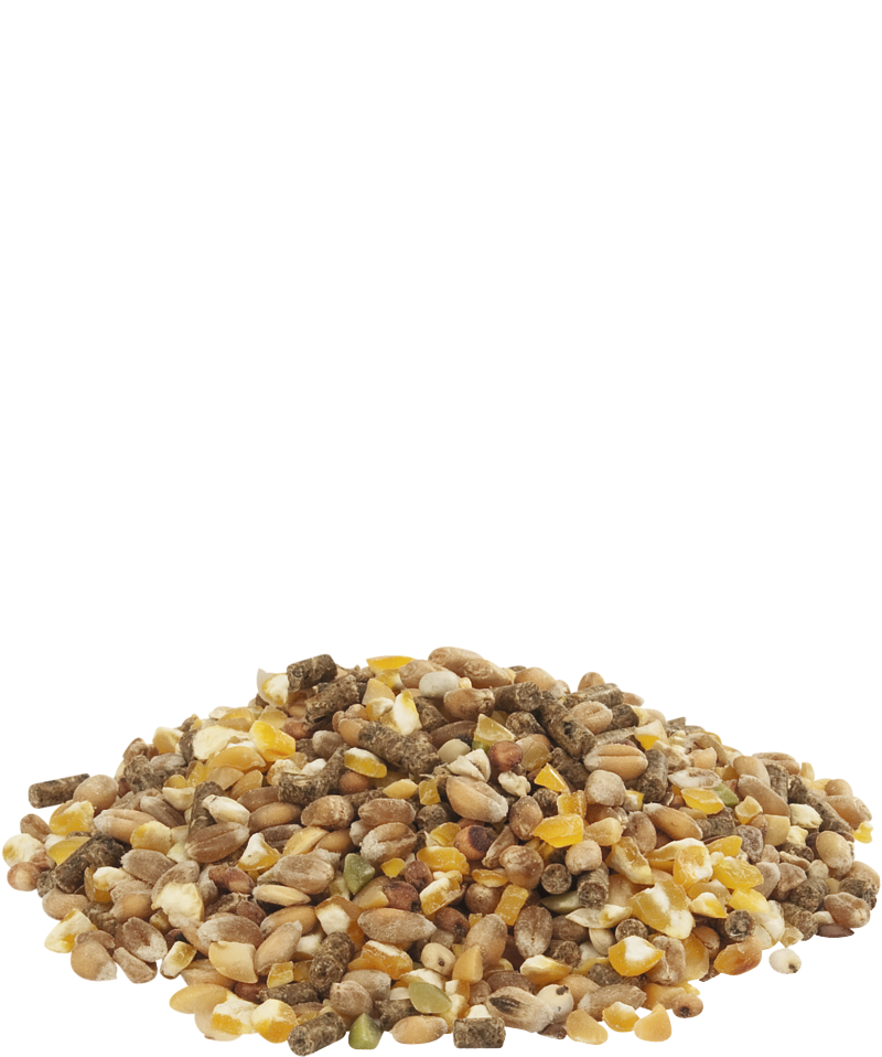 Versele-Laga Countrys Best Gold 4 Mix 20kg - Free P&P