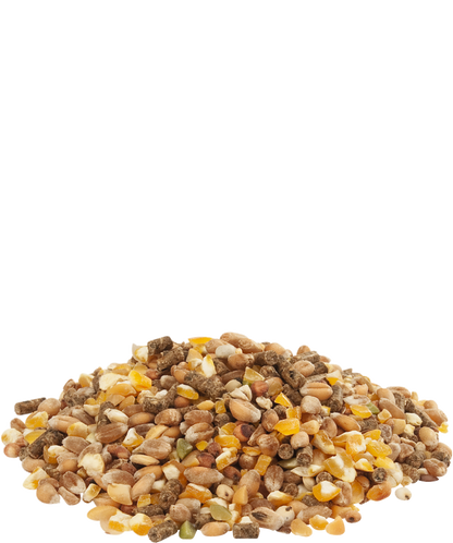 Versele-Laga Countrys Best Gold 4 Mix 20kg - Free P&P