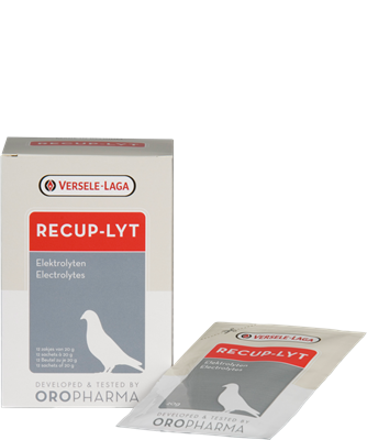 Versele-Laga Recup-Lyt 240g