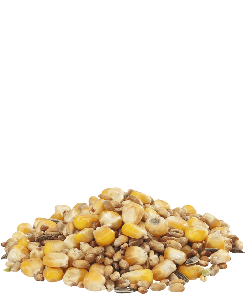 Versele Laga Gra-Mix Hen Grain Mix 20kg - Free P&P