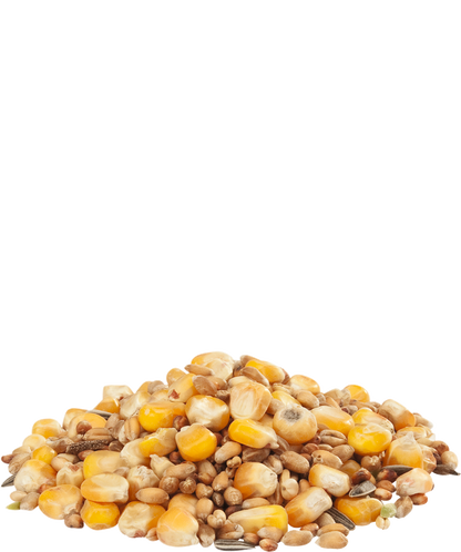 Versele Laga Gra-Mix Hen Grain Mix 20kg - Free P&P