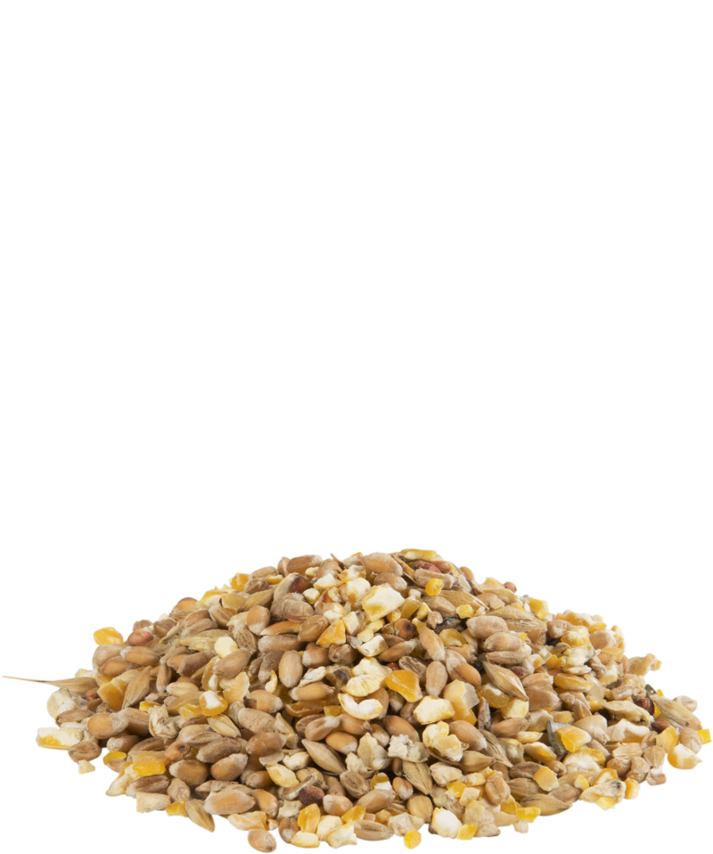 Versele-Laga Gra-Mixture Poultry Mixture Plus Grit 20kg