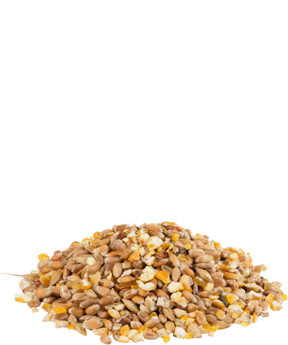 Versele-Laga Gra-Mixture Poultry Mixture Plus Grit 20kg