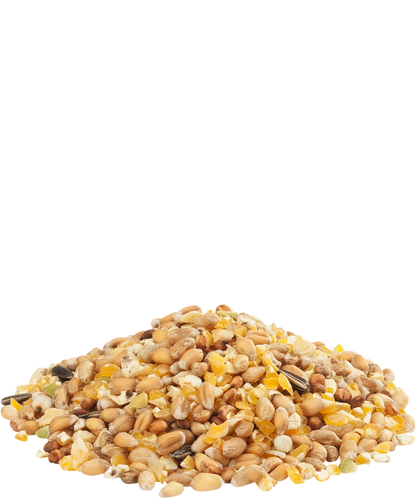 Versele-Laga Countrys Best Gra-Mixture Ardennes 20kg - Free P&P