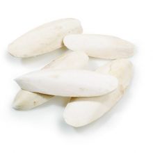 Cuttlefish Bones 6-9 inch Box 5kg