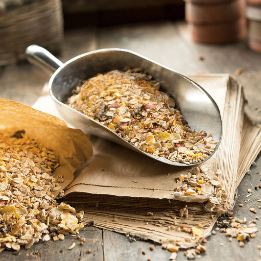 Peckish Bird Food Metal Scoop
