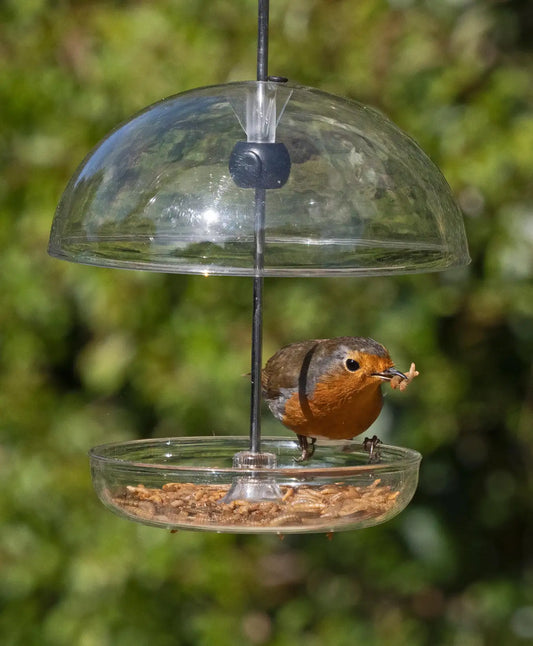 Jacobi Jayne I Love Robins Pearl Feeder