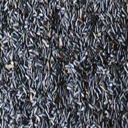 Johnston & Jeff Niger Seed