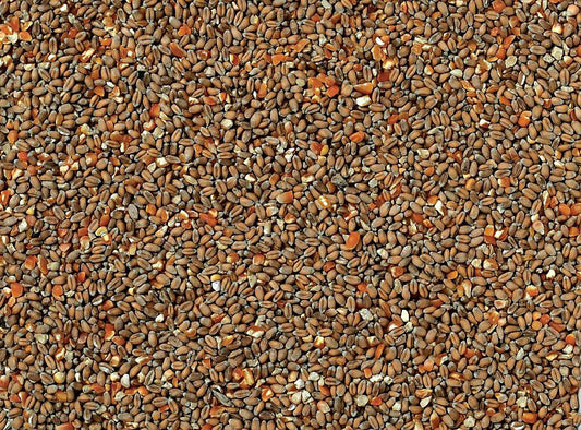 Johnston and Jeff Chicken Corn 20kg - FREE P&P