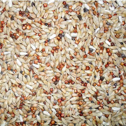 Johnston & Jeff Euro Depurative Pigeon Mix 20kg