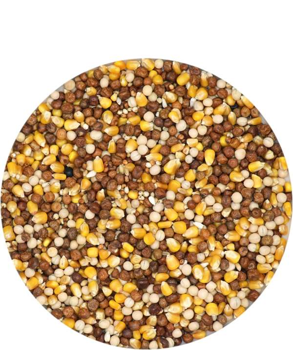 Versele Laga Best All Round Pigeon 20kg