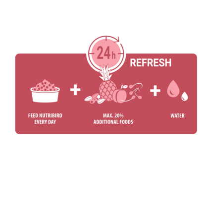 Versele-Laga NutriBird P15 Tropical 10kg - Free P&P