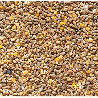 Johnston and Jeff Chicken Corn Extra 20kg - FREE P&P