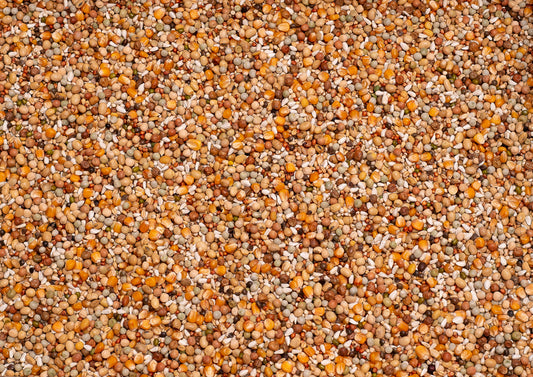 Beyers Premium Super Breeding 20kg - Free Delivery
