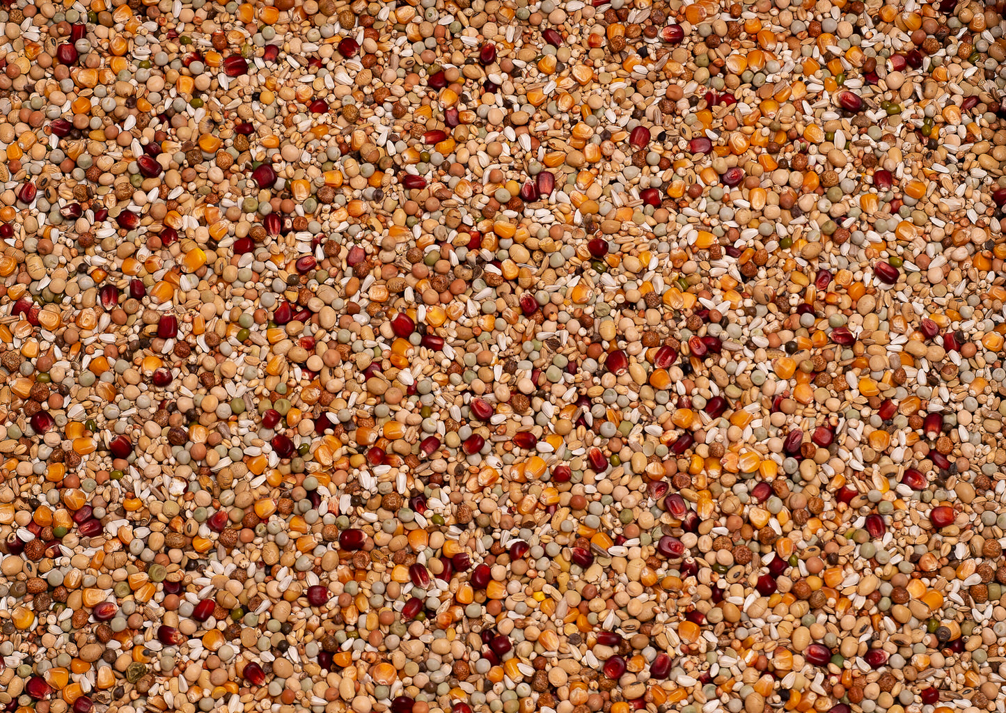 Beyers Galaxy Breeding 20kg - Free Delivery
