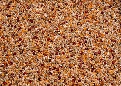 Beyers Galaxy Breeding 20kg - Free Delivery