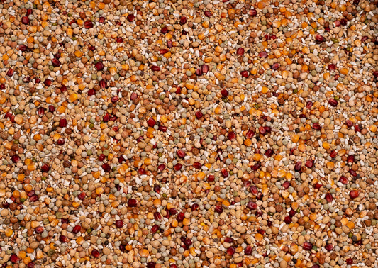 Beyers Galaxy Breeding 20kg - Free Delivery