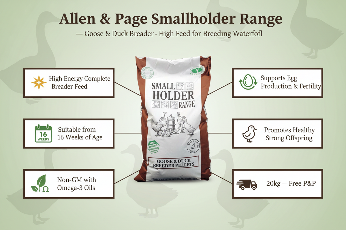 Allen & Page Goose & Duck Breeder Pellets Infographic
