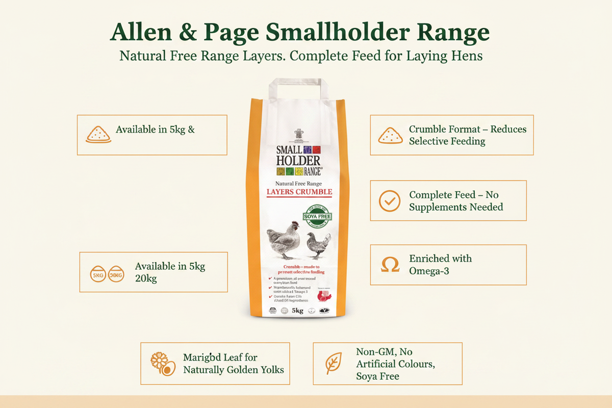 Allen & Page Layers Crumble Infographic