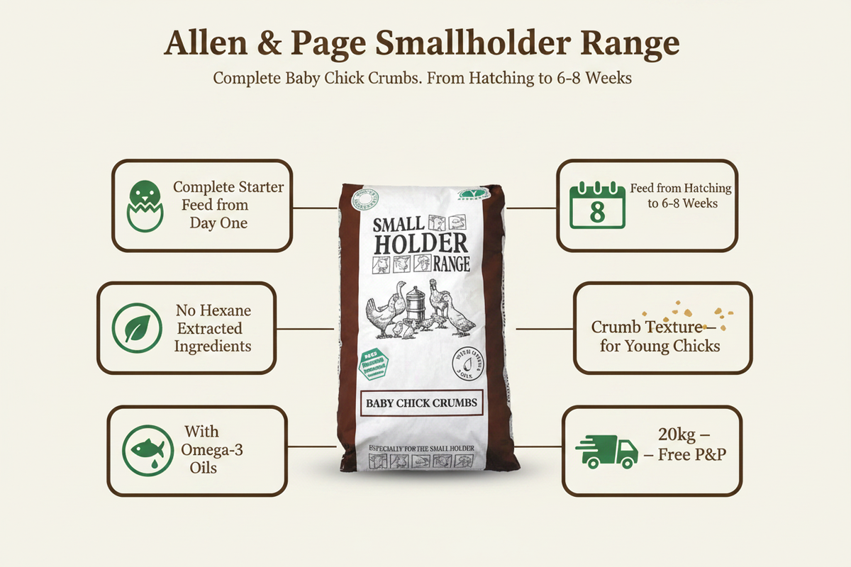 Allen & Page Smallholder Baby Chick Crumbs Infographic