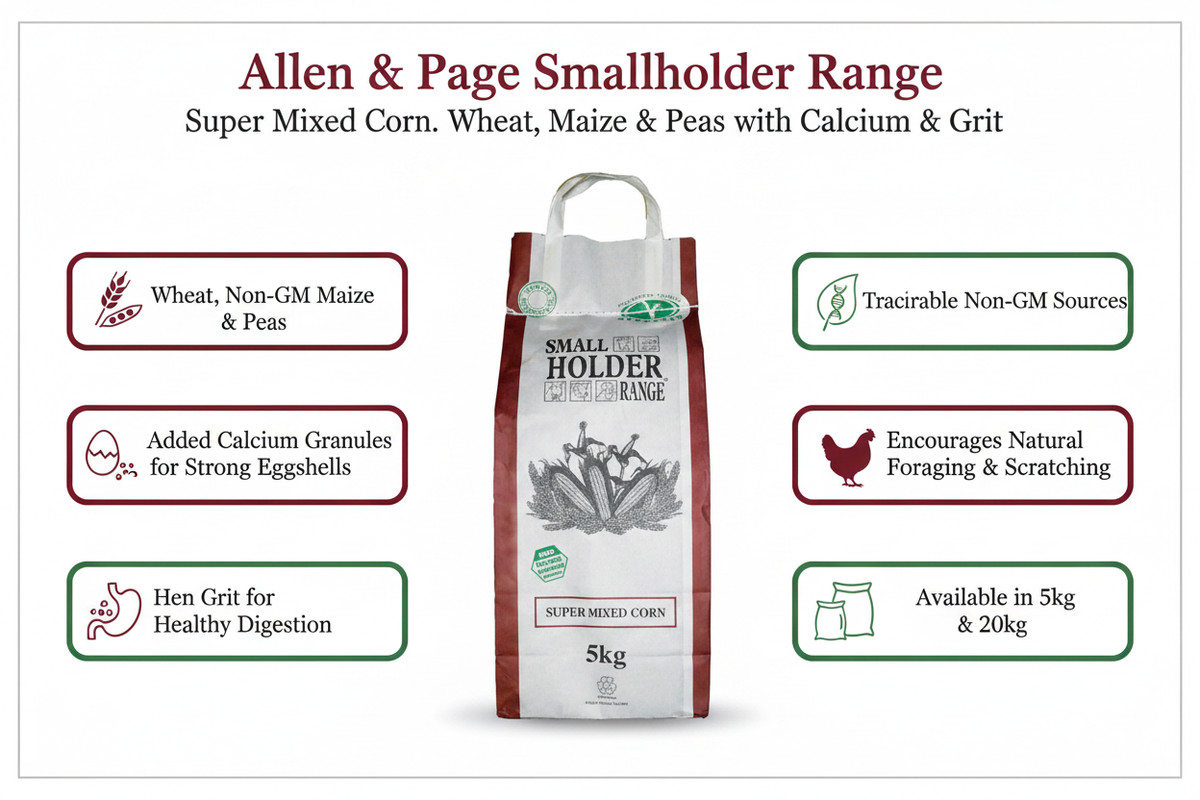 Allen & Page Smallholder Super Mixed Corn Infographic