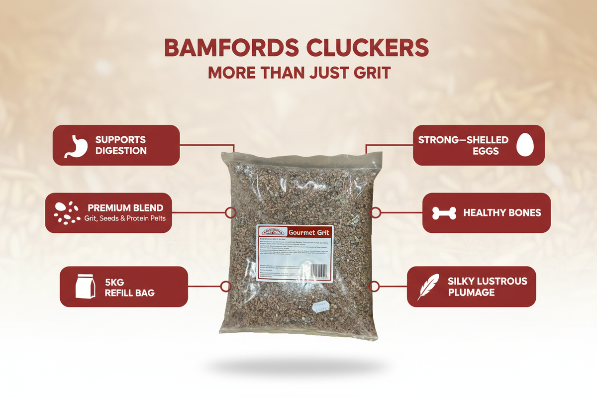 Bamfords Cluckers Gourmet Grit Infographic