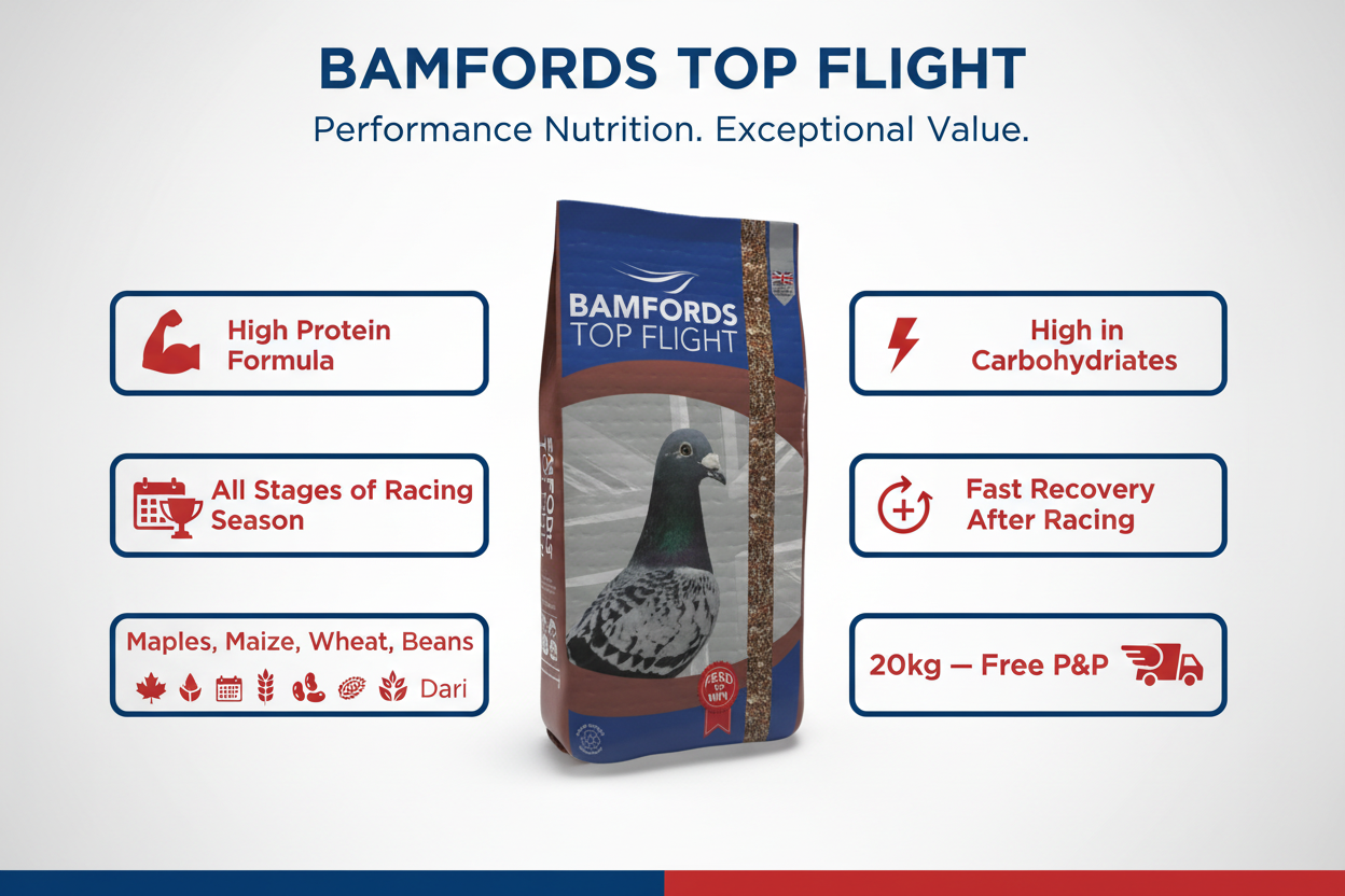 Bamfords High Protein Economy Infographic