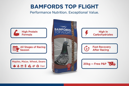 Bamfords High Protein Economy Infographic